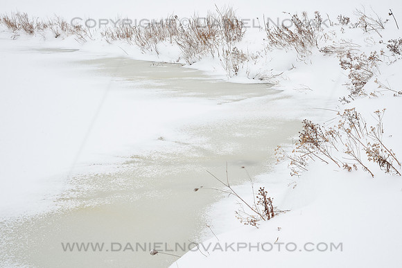 Frozen Pond in wetlands in Winter, Buffalo, Western New York (NY).
