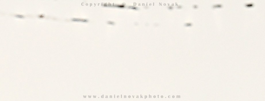 Visible Dust wet cleaning KIT - 1st pass streak along the edge.