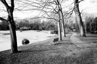 Winding Path around Green Lake, Orchard Park, NY