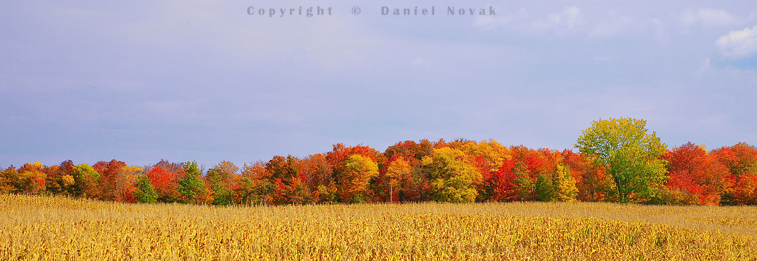 Spring 2013 is slowly coming. Colors are not really back yet - remembering fall - autumn 2012. Western New York Seasonal COlors.