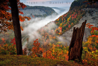 The river, the gorge, the fog, the daybreak, the beauty of Letchworth State Park, New York (NY).