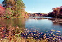 Beebe Lake, Ithaca, NY. Photographed with a vintage 35mm Minolta Maxxum 5 camera on Kodak Colorplus 200 color negative film. Developed in C-41.
