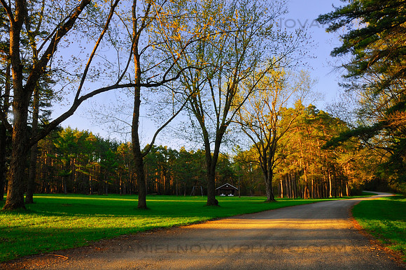 Spring Alley at Emery Park, New York (NY) near East Aurora and Buffalo, at sunrise.