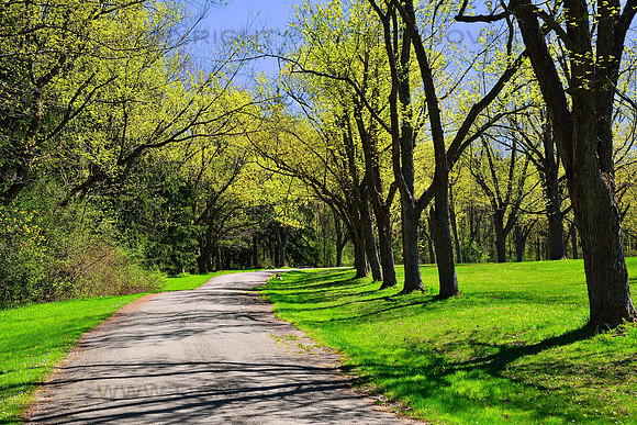 Spring Day at Emery Park