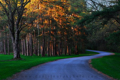 Warm orange sunrise glow contrasting cold blue shadow at Emery Park, South Wales - East Aurora - Buffalo, New York (NY).