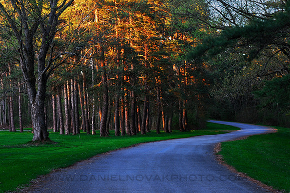 The Warm Sunrise Glow & The Cold Blue Shadows, Emery Park Alley in Spring, Buffalo, New York (NY).