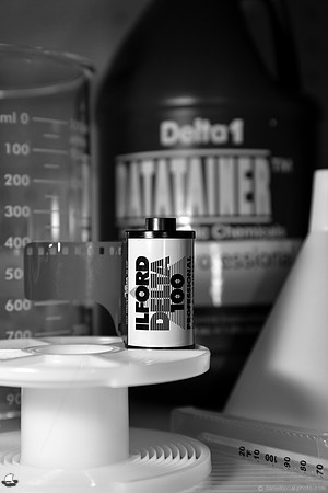 Ilford Delta 100