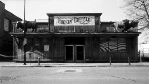 Buckn' Buffalo, Buffalo, NY