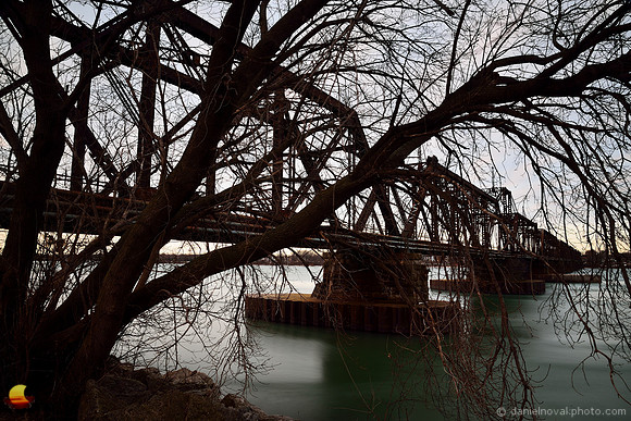 The International Railroad Bridge behind Trees