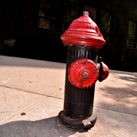 New York City Fire Department Standpipe - Brown and Red, In Ground.