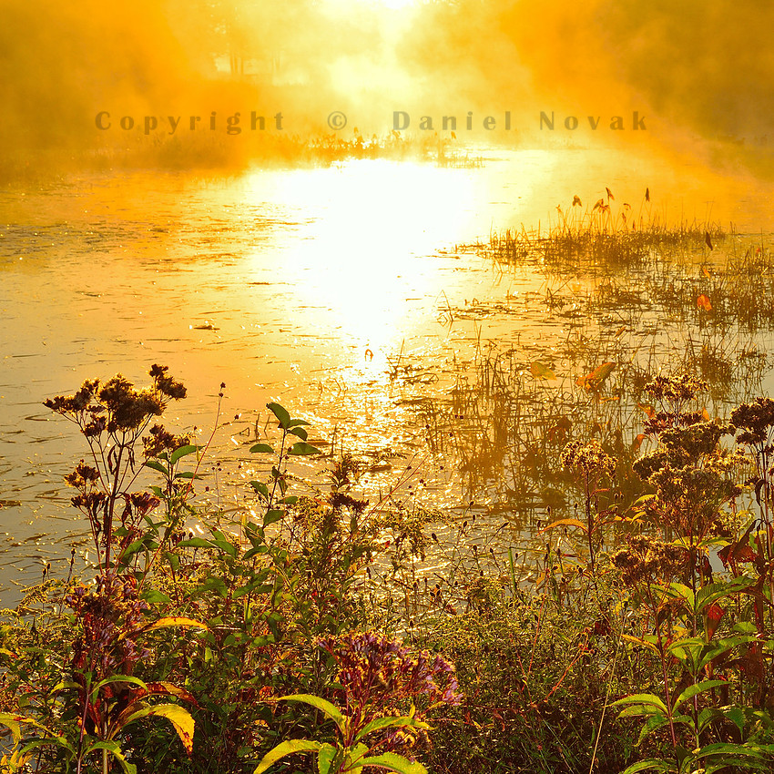 Blinding Warmth at Birdsong
