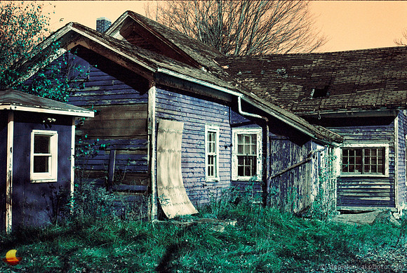 Red Cottage at Knox Farm, Lomochrome Turquoise Theme
