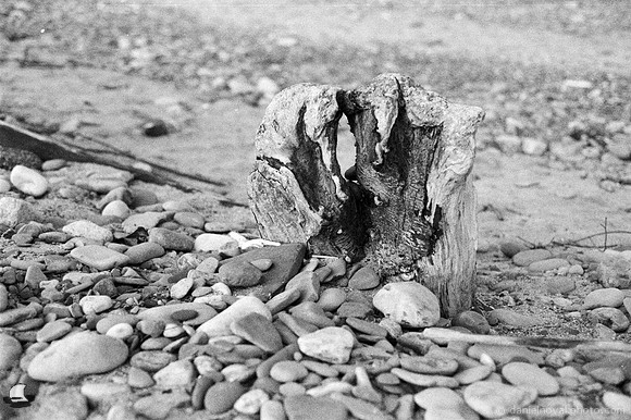Wood & Rocks