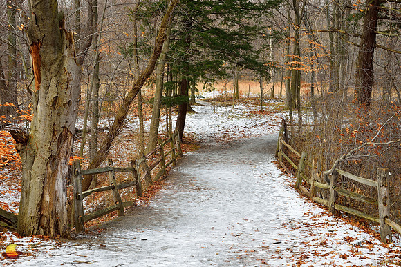Knox Farm Bridge - Head On