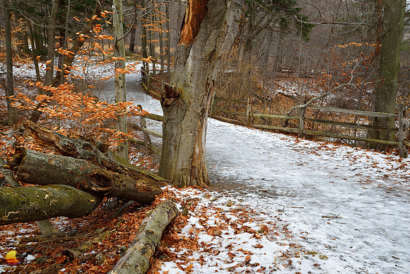 Knox Farm Bridge between Winter and Fall