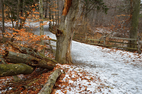 Knox Farm Bridge between Winter and Fall, New York State Park, East Aurora, NY.