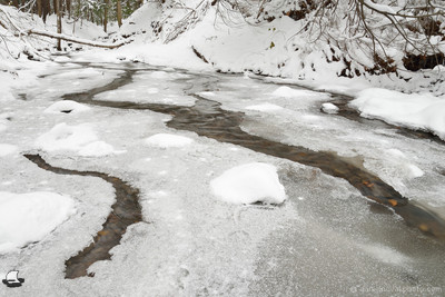 Finding Its Way, Frozen Creek in Chestnut Ridge Park, Orchard Park, NY. Winter in Western New York