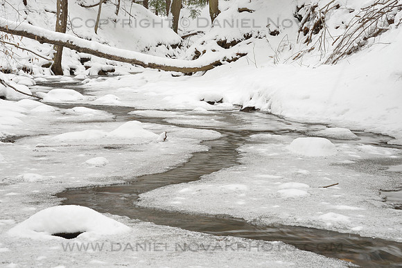 Frozen Creek in Winter,Ice & Snow,  Chestnut Ridge Park, Orchard Park, NY