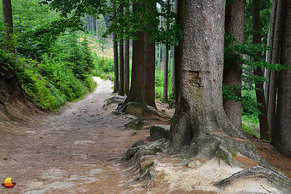 Up to Ostaš