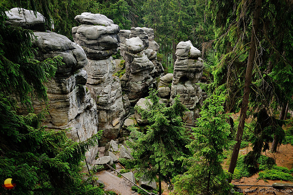 Cat Rocks, Ostaš