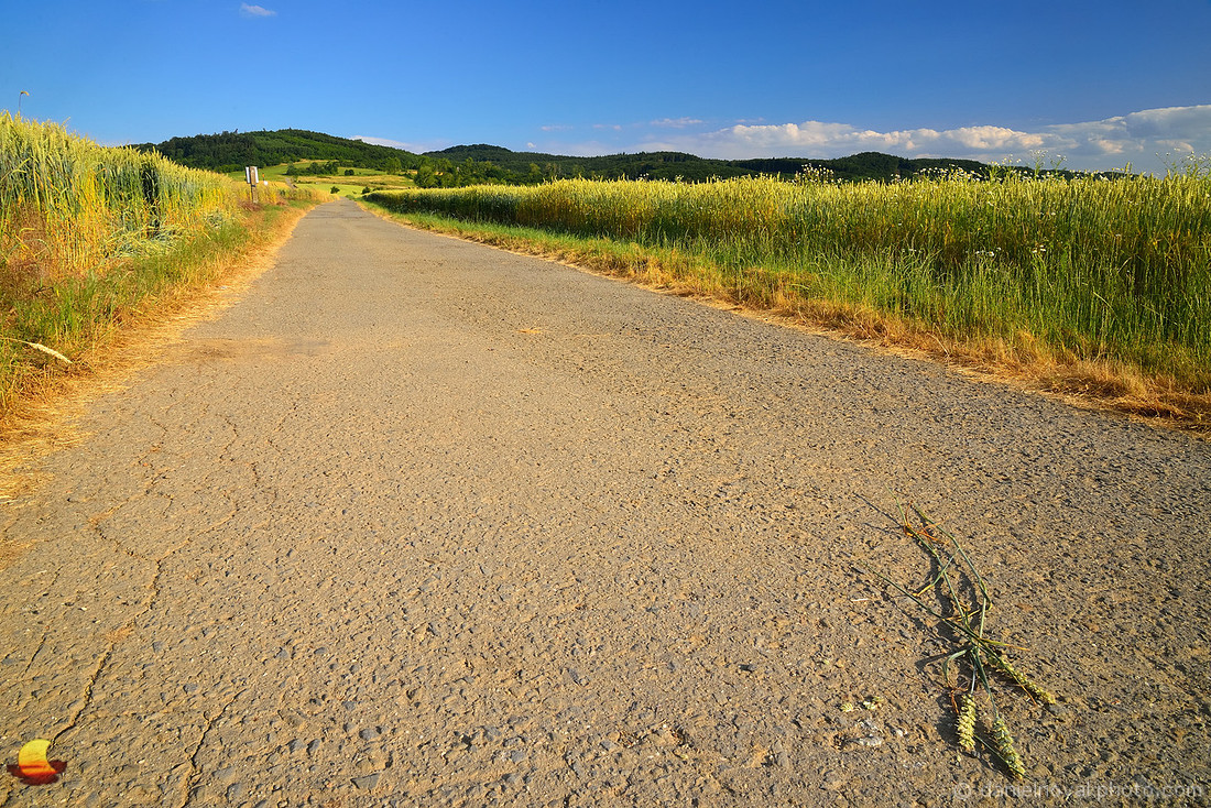 Road through Fields & Hills, Southern Moravia, Czech Republic