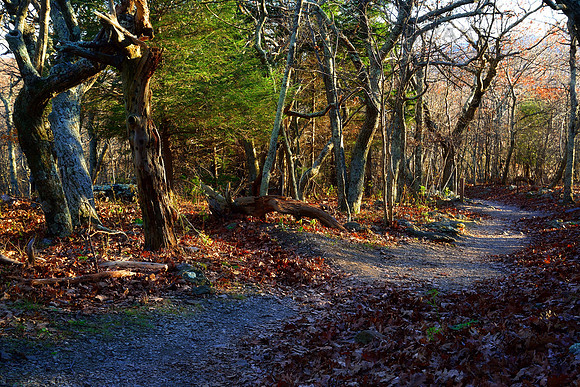 Stony Man Trail, Shenandoah National Park, Virginia (VA)