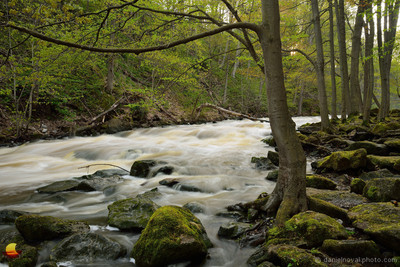 High Water at Murder Creek, Akron Falls County Park near Buffalo, NY