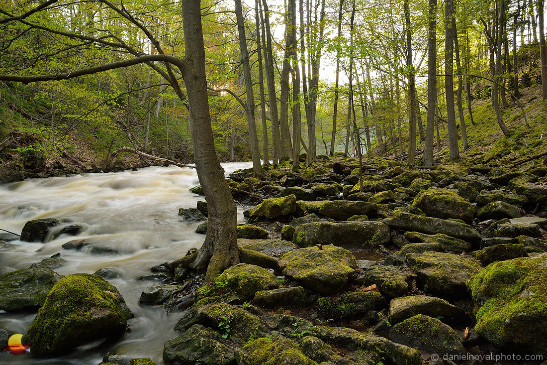 Murder Creek Greens, Akron Falls County Park near Buffalo, NY