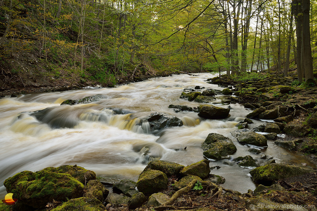 Spring under Akron Falls - Flowing & Humming