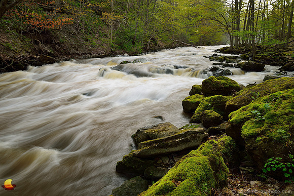 Spring Flow