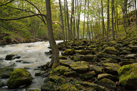 Murder Creek Greens
