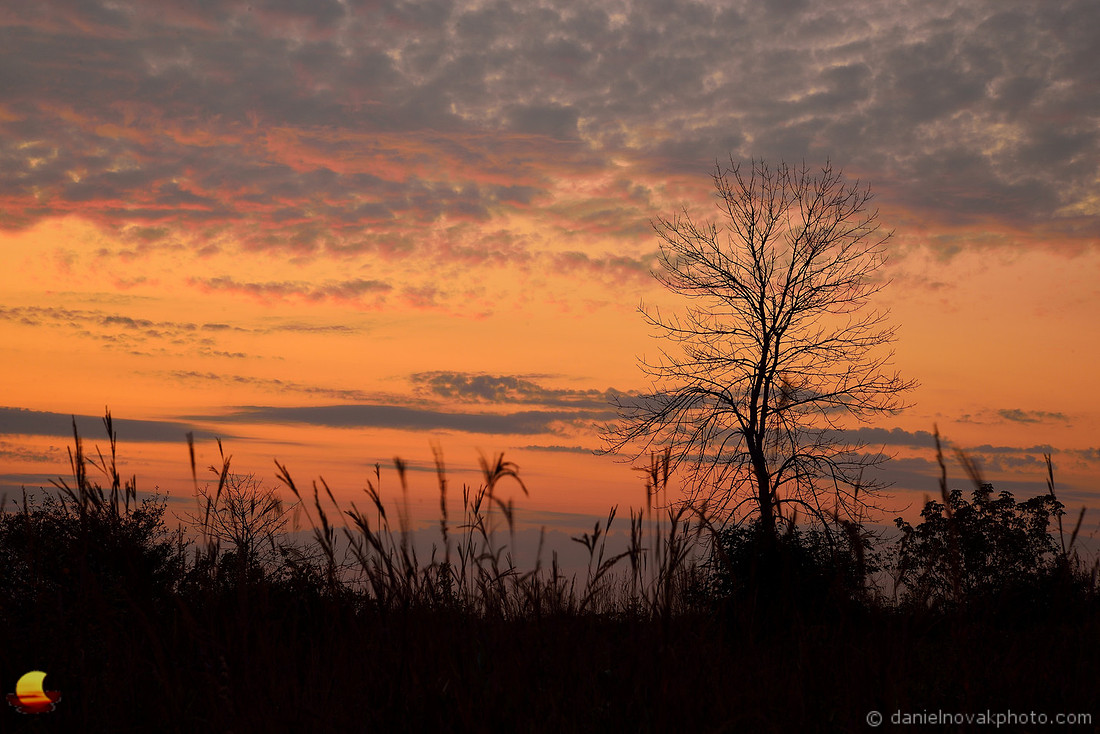 Saluting the Sunrise, North Dunes Nature Preserve, Lake Michigan, Zion - Chicago, IL