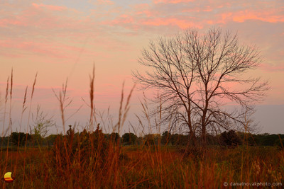 Western Glow of Sunrise, North Dunes Nature Preserve, Lake Michigan, Zion - Chicago, IL
