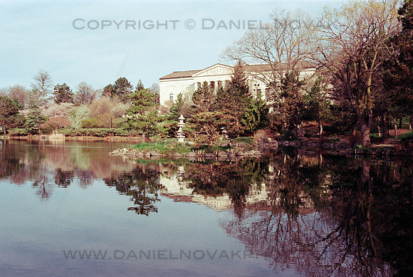 Morning Reflection, Buffalo History Museum and Japanese Garden