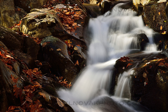 Falling Water of Fall, hiking the Shenandoah National Park