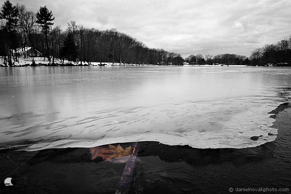 Under the Ice