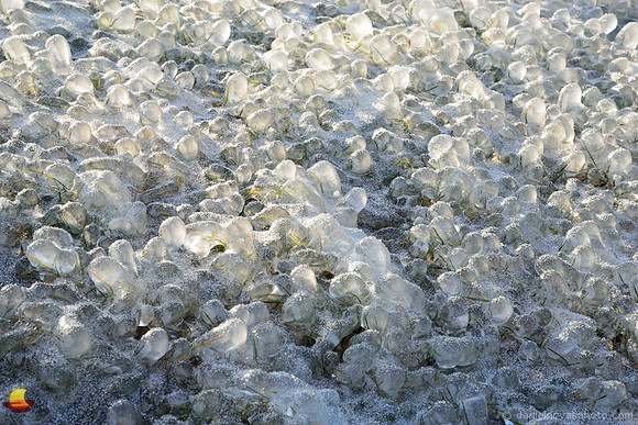 Boiling Ice