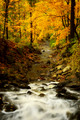 Fall at South Branch Smoke Creek, Green Lake, Orchard Park, New York (NY).