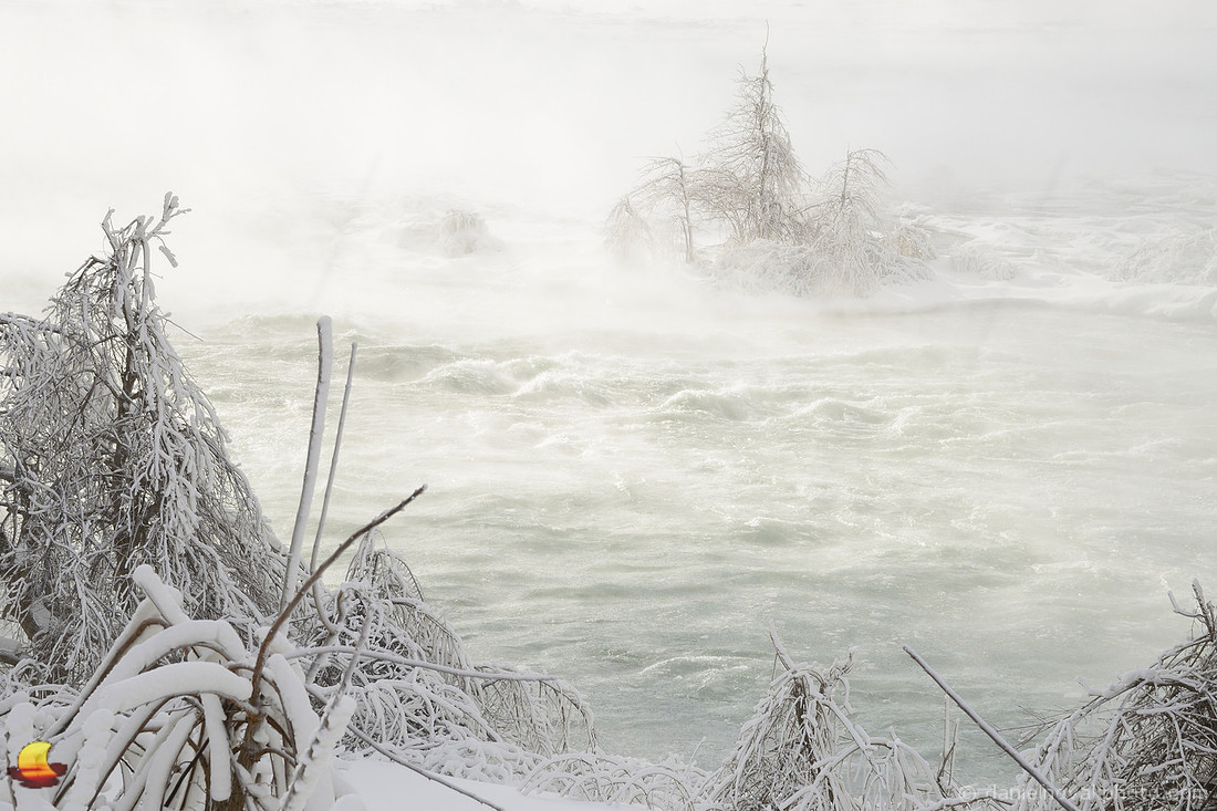 Brave Trees, Upper Niagara River Rapids, Niagara Falls in Winter