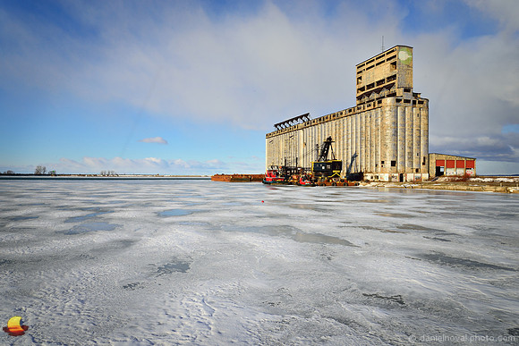 Frozen & Wind-Swept by Cargill