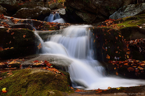 Rocks, Leaves, and Falling Water