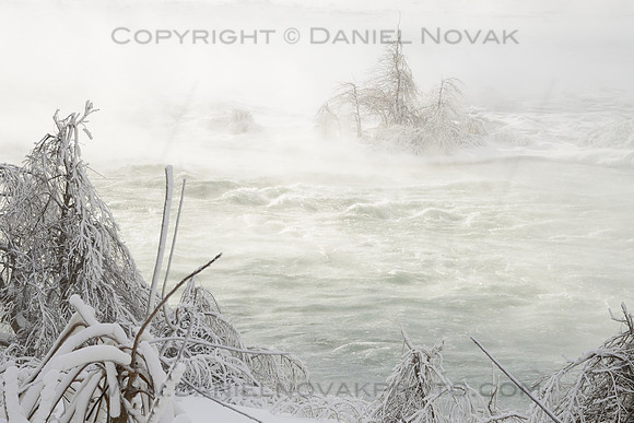 Frosty Brave Trees, Upper Niagara River Rapids, The Edge of Niagara Falls in WInter