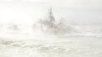 Isolated Brave Trees, Upper Niagara River Rapids, The Edge of Niagara Falls in WInter
