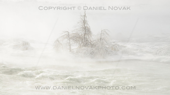 Isolated Brave Trees, Upper Niagara River Rapids, The Edge of Niagara Falls in WInter