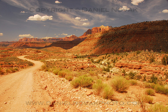 Dirt road through Southwest Desert by Smithsonian Butte, near Zion National Park, southern Utah (UT).