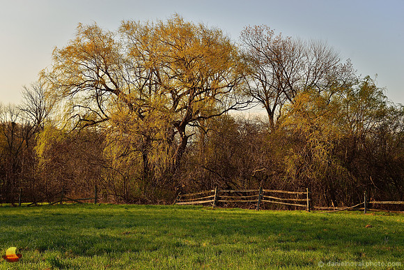 Spring at Knox Farm