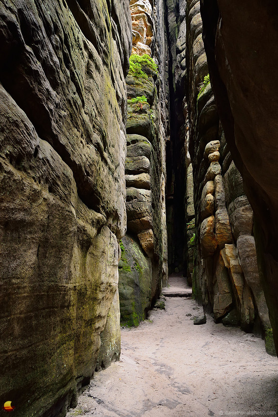 Rising High, Teplice Rocks (Teplické skály), Czech Republic