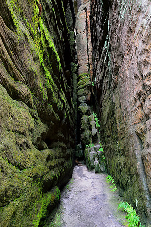 High Rock Walls and Narrow Gaps in Teplice Rocks (Teplické skály), Czech Republic
