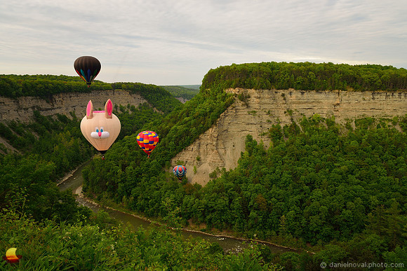 Fred B Rabbit over Letchworth