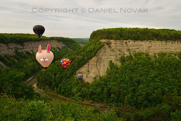 Fred B Rabbit at the 17th annual Red, White, and Blue Hot Air Balloon Festival in Letchworth State Park, 2018